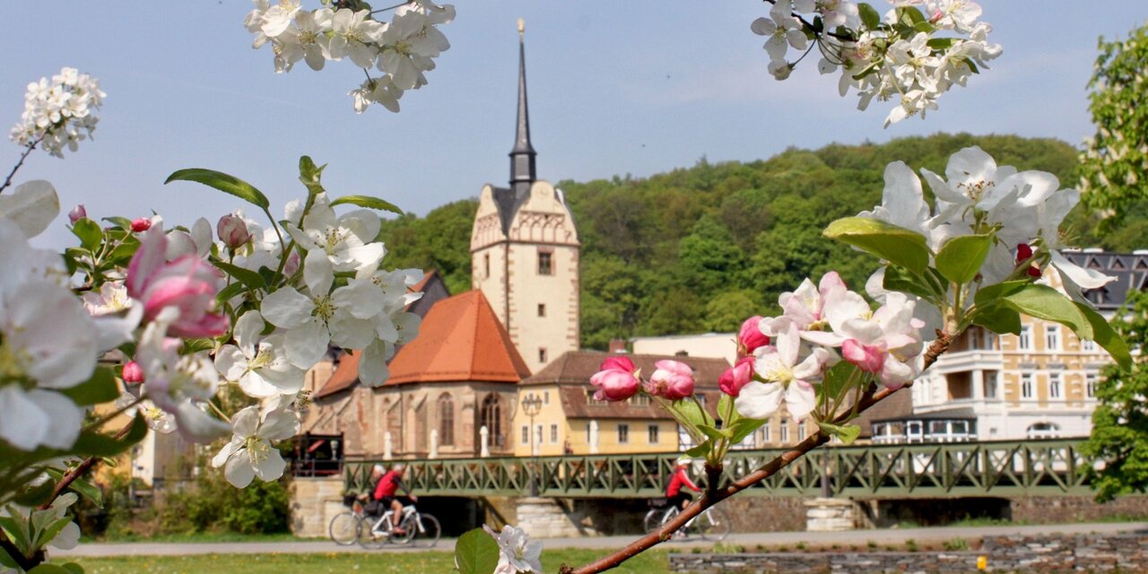 Marienkirche mit Blume