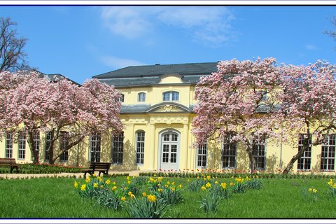Schlosspark Altenburg